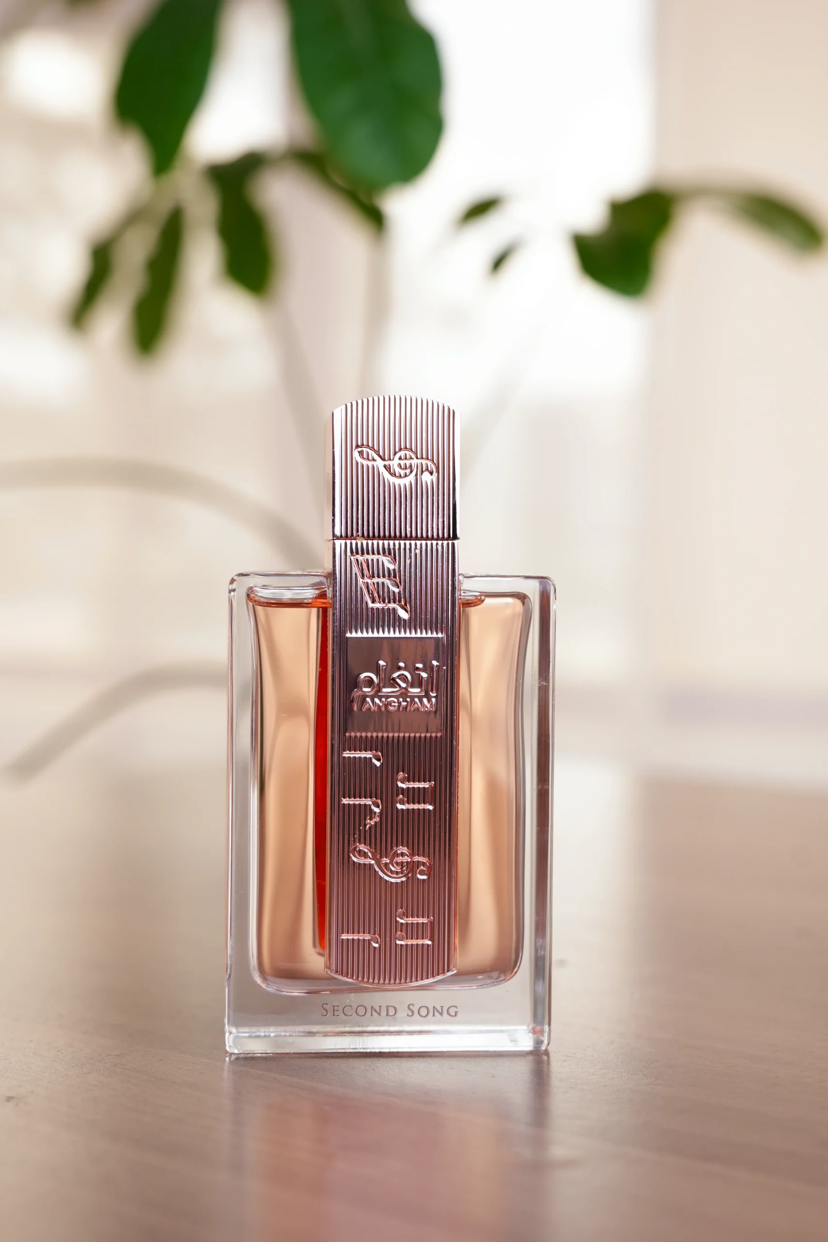 Suggest Product Thumbnail