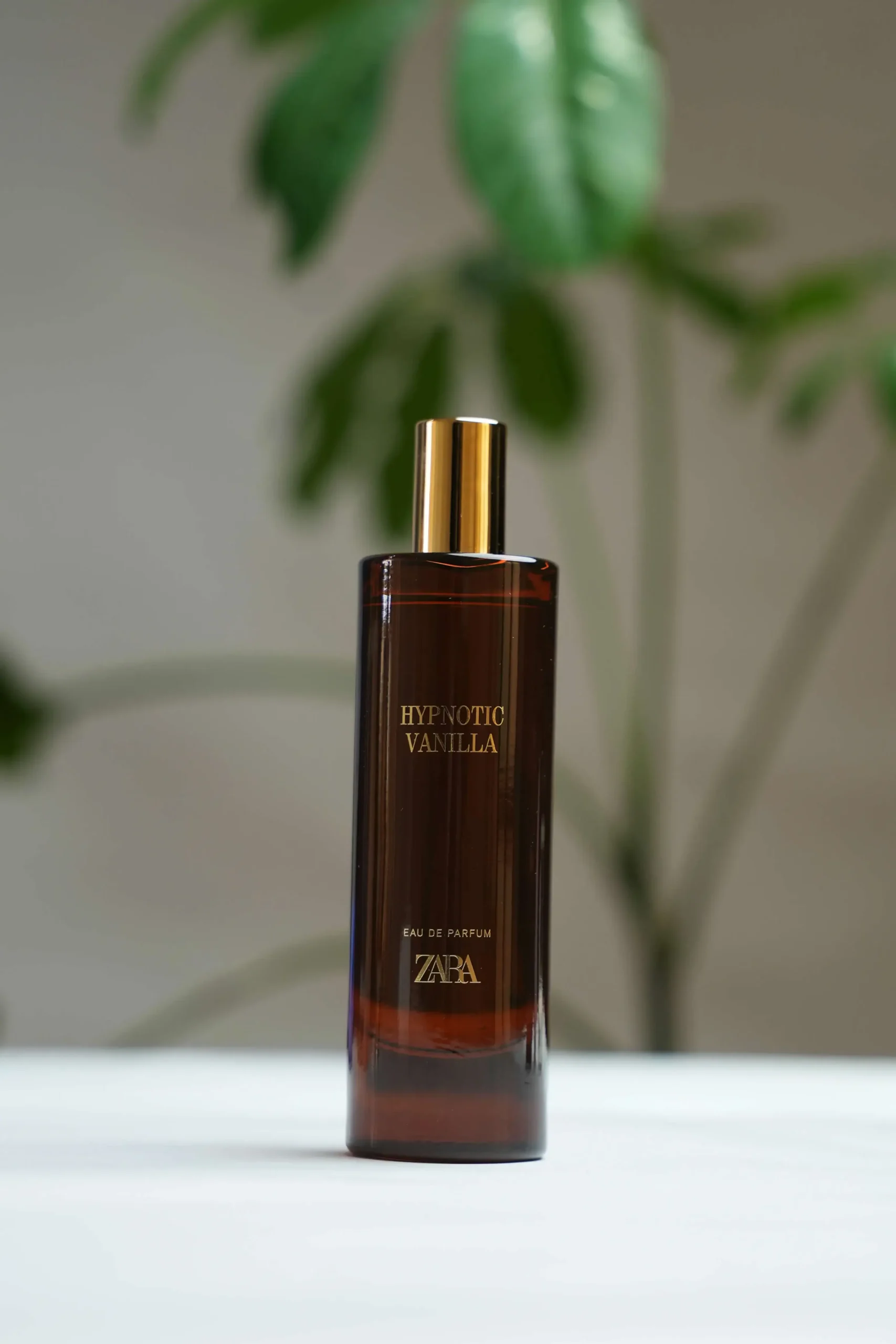 Zara Hypnotic Vanilla Bloom zara hypnotic vanilla bloom
