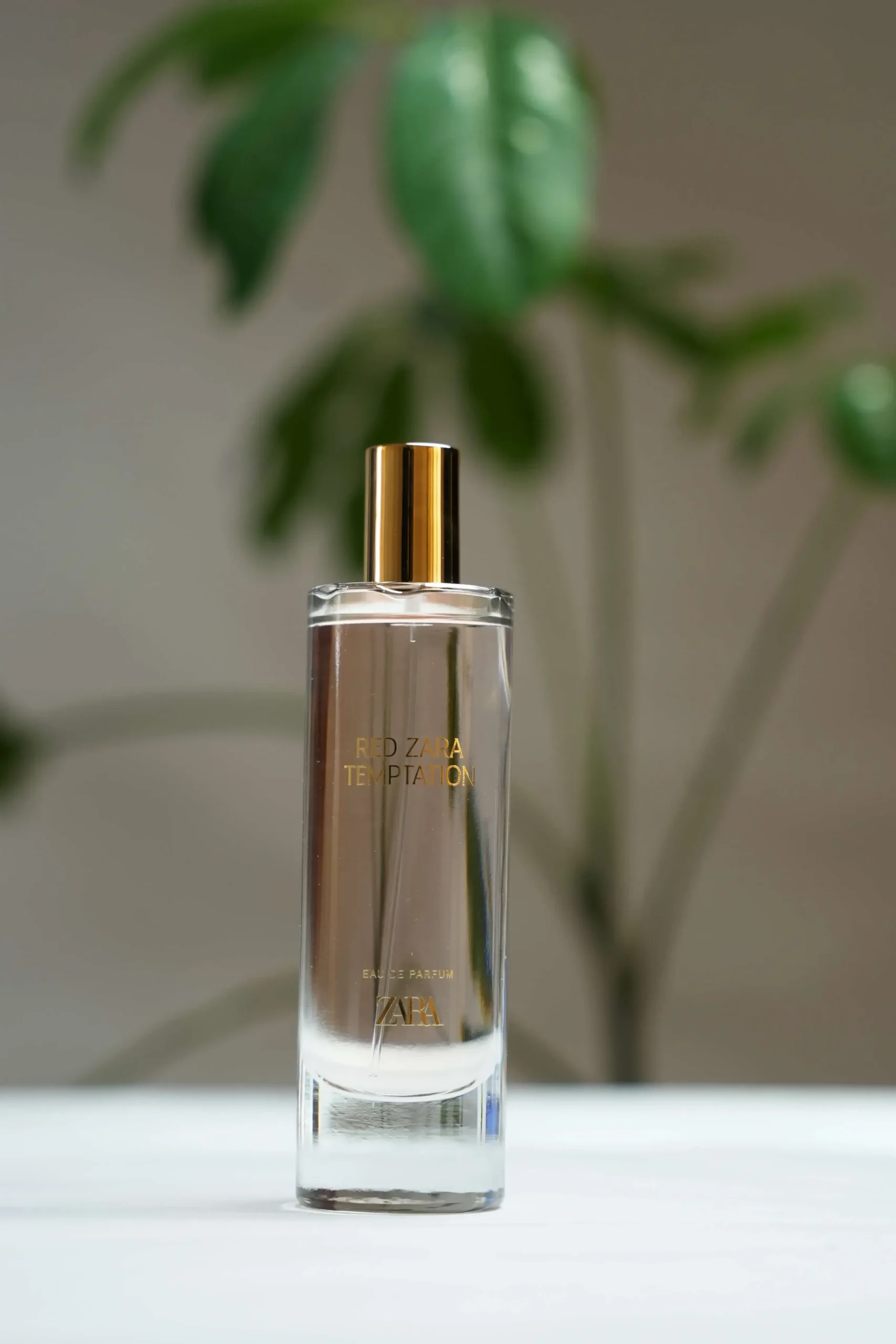 Red Zara Temptation Eau De Parfum red zara temptation eau de parfum