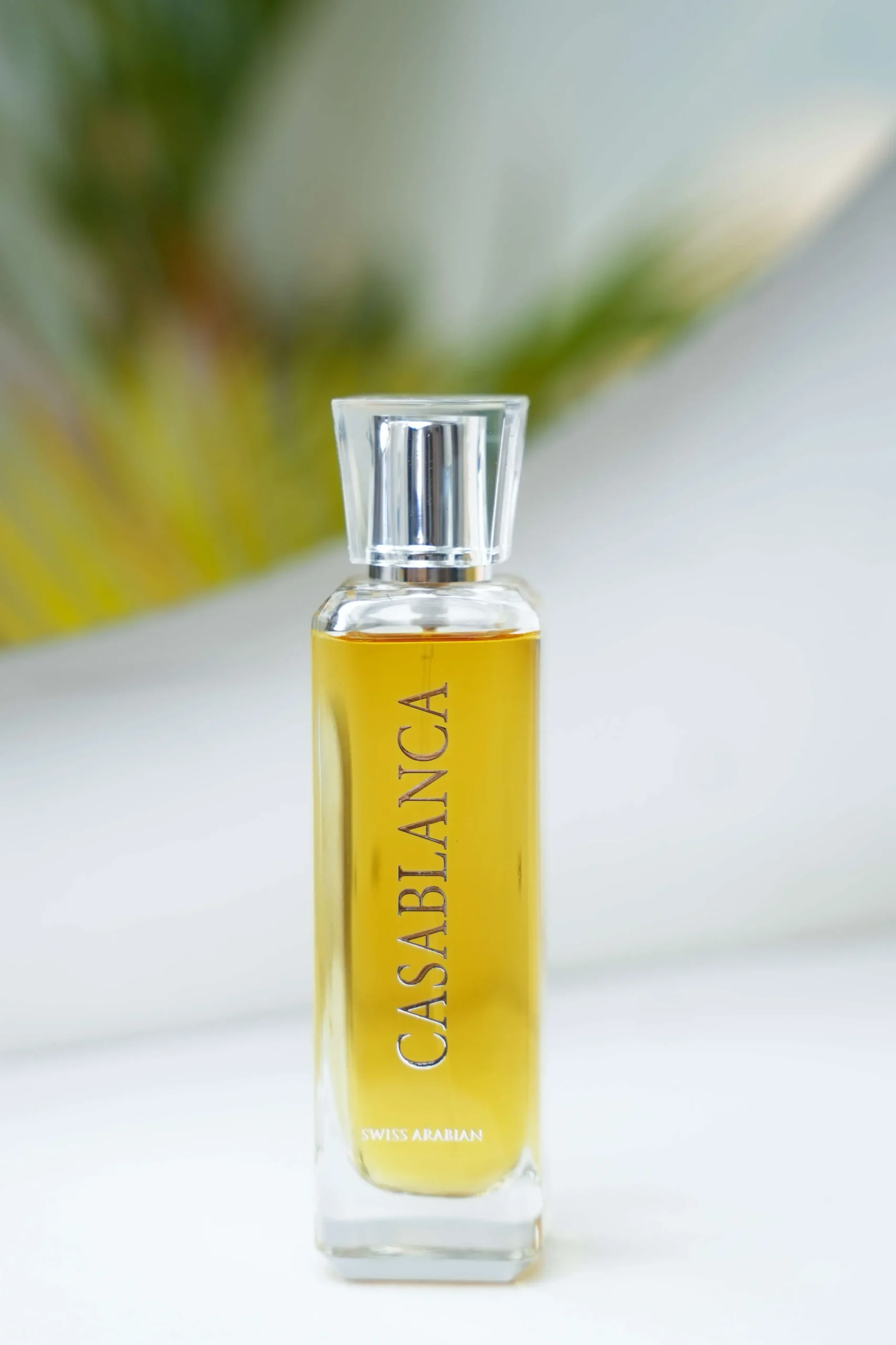 Casblanca casblanca scaled
